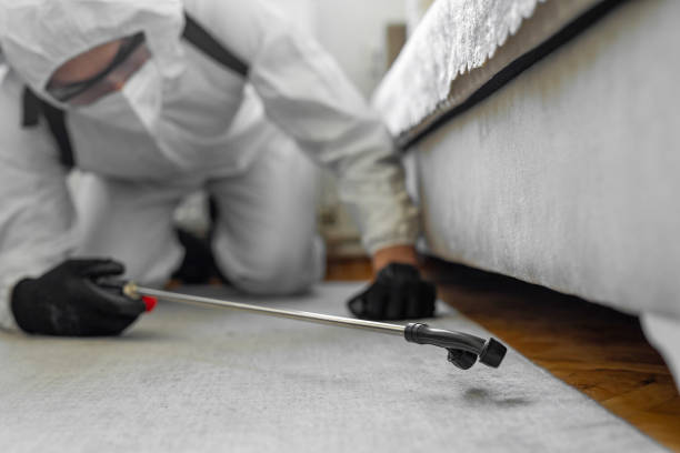 Professional Bed Bug Control technician working in Meadow Oaks, FL